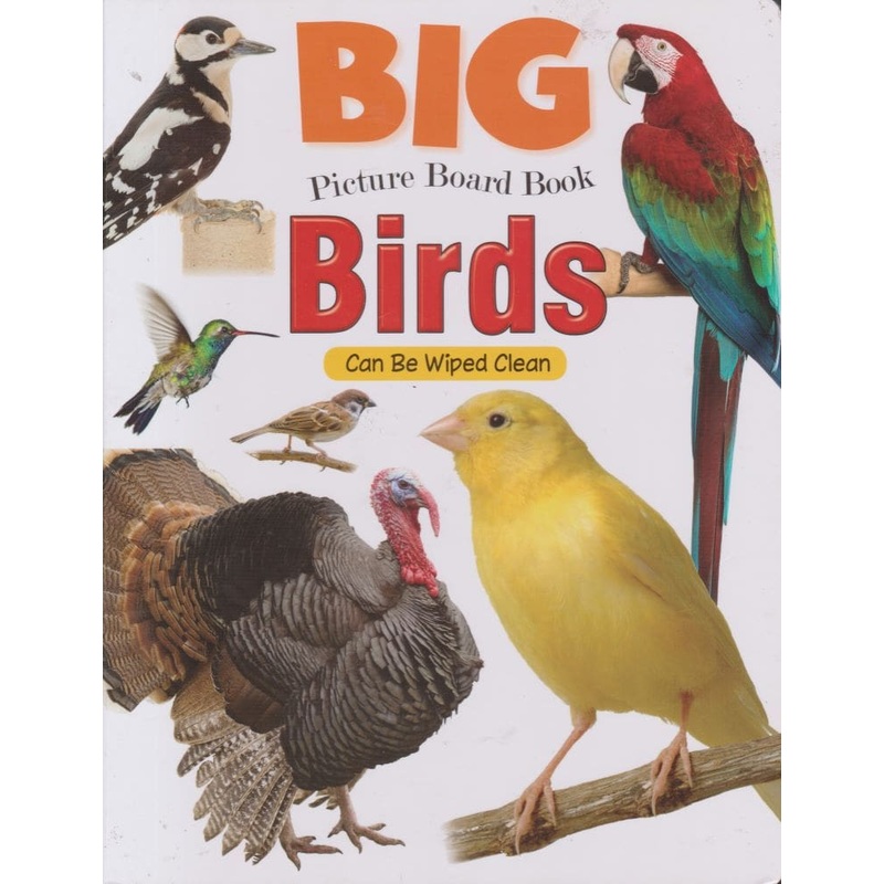 Alka Big Picture Board book Birds Can Be Wiped Clean