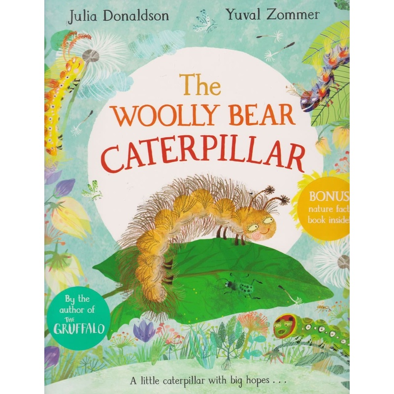 Woolly Bear Caterpillar (J.Donaldson)